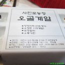 사진포농장 Daum카페