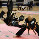 강한합기도 이미지