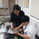 대천리중학교 이미지