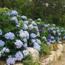 연호환경㈜ 이미지