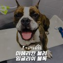 하슬라동물병원 이미지