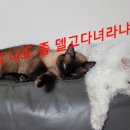 묵현로25번길37 네이버블로그