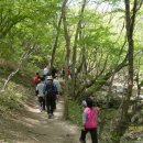 정읍중학교 이미지