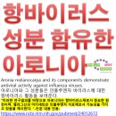 앤트랩