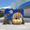 수산과학관(실외) 이미지