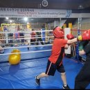 복싱코어 아카데미 이미지