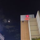 롯데마트 천천점 이미지