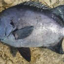 뉴환상민박 이미지