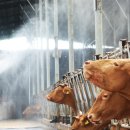 이창재 농장 이미지