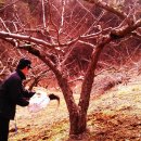 그린퇴비 - 12200 | 그린퇴비
