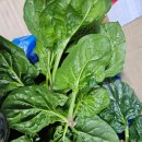 남해-312 이미지