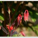 도비산 등산로 이미지