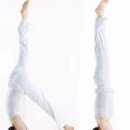 #3361 나는 누구인가? - 물구나무 서기 Handstand 이미지