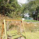 바바벨리 이미지