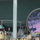 월드즐거운스튜디오