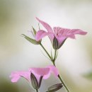 드로잉스케치 이미지