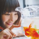 노넨 레나 카카오 검색결과