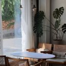 사임당로 72 | 🐶교대역 애견동반카페 엔트런스(Entrance) 방문 후기