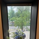 이스터 서울(EASTER SEOUL) 이미지