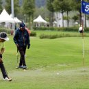 파크골프 이미지