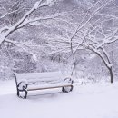시장상점