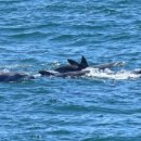 노을해안로 이미지