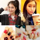 네일요정 뉴스제주
