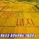 월랑농장 연합뉴스