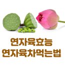 연자육 효능, 연꽃씨앗 연자육차 먹는법 이미지