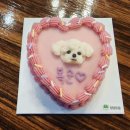 도도한댕댕 이미지