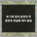 광주강아지분양 고양이분양 24시 데려가개본점 | 광주강아지분양으로 만난 따뜻한 반려견과의 일상 변화