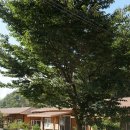 돋을볕펜션 | 9th camping: 강원도 화천 마음이 머무는 곳-10.1~10.3