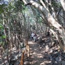 공곶이가는길 이미지