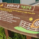 호원실내테니스장