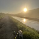 석모도부자캠핑장 | 대형견 푸푸와 온가족이 함께한 석모도부자캠핑장