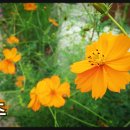 공감 공간 이미지