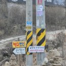 숲속 짱구네 이미지