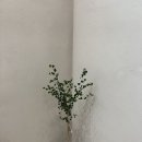 단석가찰보리빵건천점 이미지