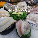 돌고래오토캠핑장 | 바다 앞 동해 망상해수욕장맛집 돌고래횟집 신선한 활어회 후기