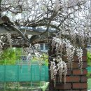 무안북중학교 이미지