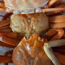 바다수산대게마트 이미지