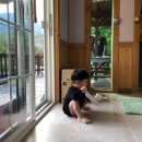 섬진강출렁다리펜션 이미지