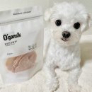 오간식 | 강아지 저알러지간식 추천! 오간식 말랑한 닭칩 솔직 후기