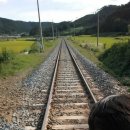 노력항민박 이미지