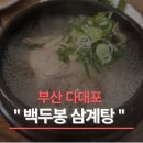 백두봉삼계탕 | 부산 다대포｜주차 편한 삼계탕 맛집, 백두봉삼계탕 후기