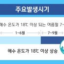 해냄식품 이미지
