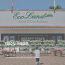 제주 아이와 가볼만한곳 에코랜드 스카이바이크와 판타지 포레스트 완벽 가이드