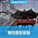 용인중앙근린공원(말아마당 놀이터) | 용인중앙공원 말아마당에서 노고봉 전망대까지 봄맞이 산책