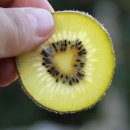 청해농장 이미지