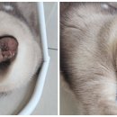 안경만들기사천점 이미지